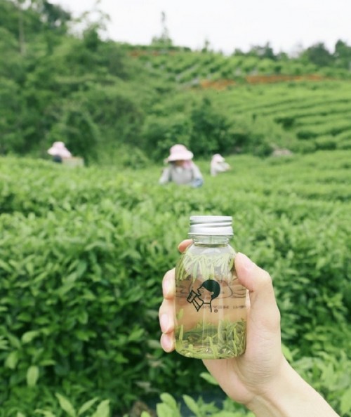 喜茶發布品質真奶標準 以經驗沉淀驅動新茶飲供應鏈與包裝耗材品質升級
